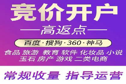 某某SEM服务公司成功案例：从数据出发的营销策略